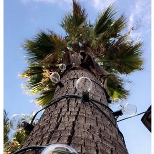 Meet your Posher, Maddie